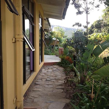 Port Saint Johnʼs Jungle Monkey Backpackers旅舍 外观 照片