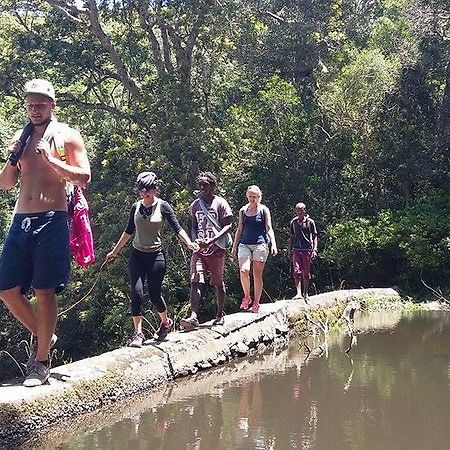Port Saint Johnʼs Jungle Monkey Backpackers旅舍 外观 照片