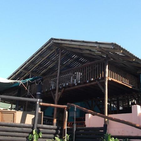Port Saint Johnʼs Jungle Monkey Backpackers旅舍 外观 照片