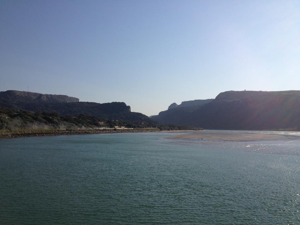 Port Saint Johnʼs Jungle Monkey Backpackers旅舍 外观 照片