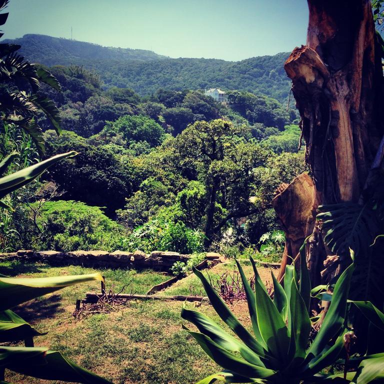Port Saint Johnʼs Jungle Monkey Backpackers旅舍 外观 照片