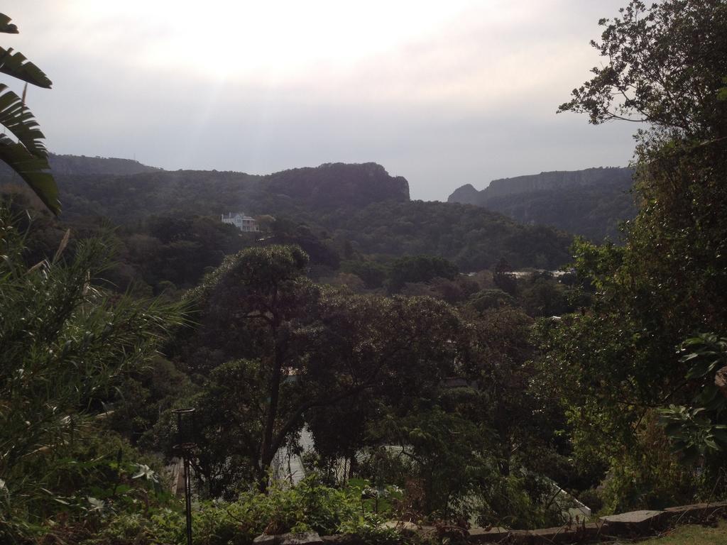 Port Saint Johnʼs Jungle Monkey Backpackers旅舍 客房 照片
