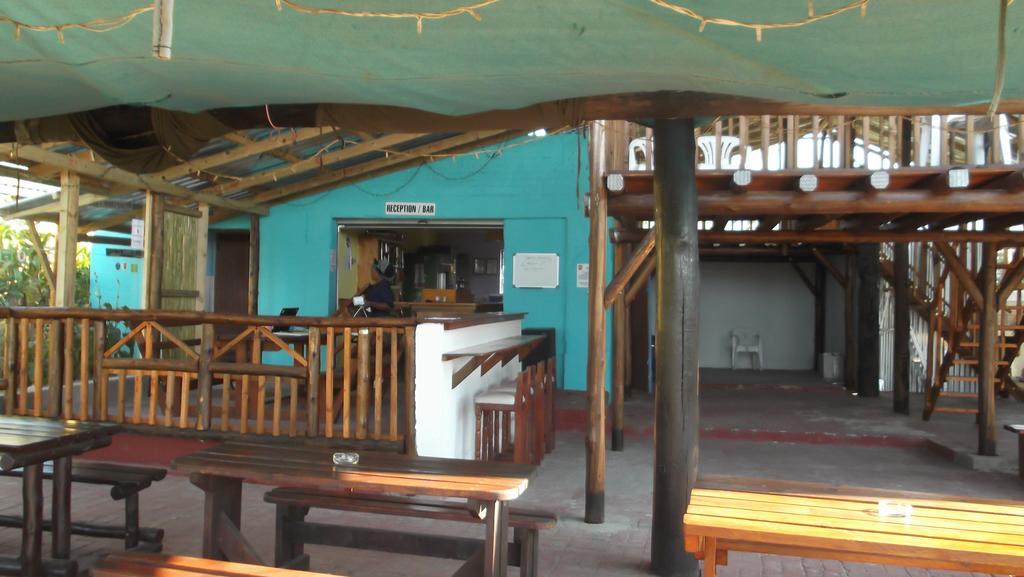 Port Saint Johnʼs Jungle Monkey Backpackers旅舍 外观 照片